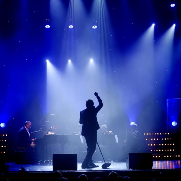 Fotografie Hilde Collier Evenementen